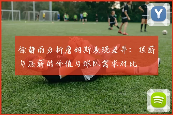 徐静雨分析詹姆斯表现差异：顶薪与底薪的价值与球队需求对比