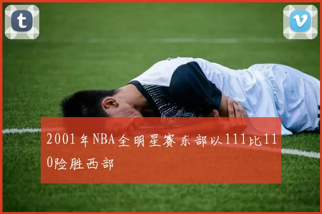 2001年NBA全明星赛东部以111比110险胜西部
