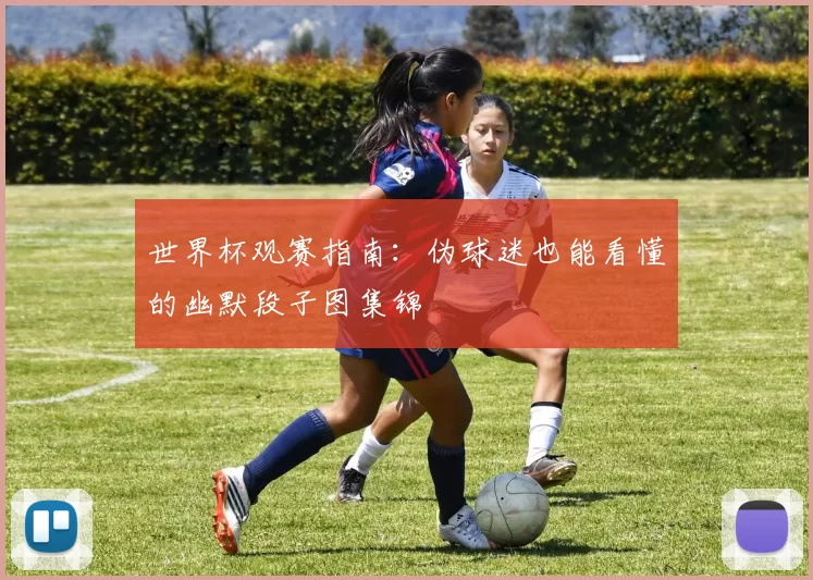 世界杯观赛指南:伪球迷也能看懂的幽默段子图集锦