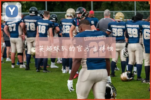 英超球队的官方吉祥物