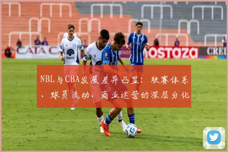 NBL与CBA发展差异凸显：联赛体系、球员流动、商业运营的深层分化