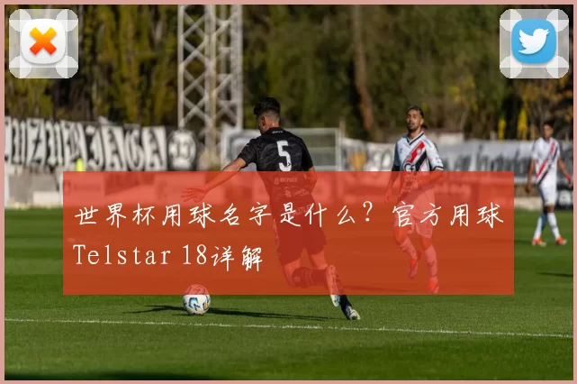 世界杯用球名字是什么?官方用球Telstar 18详解