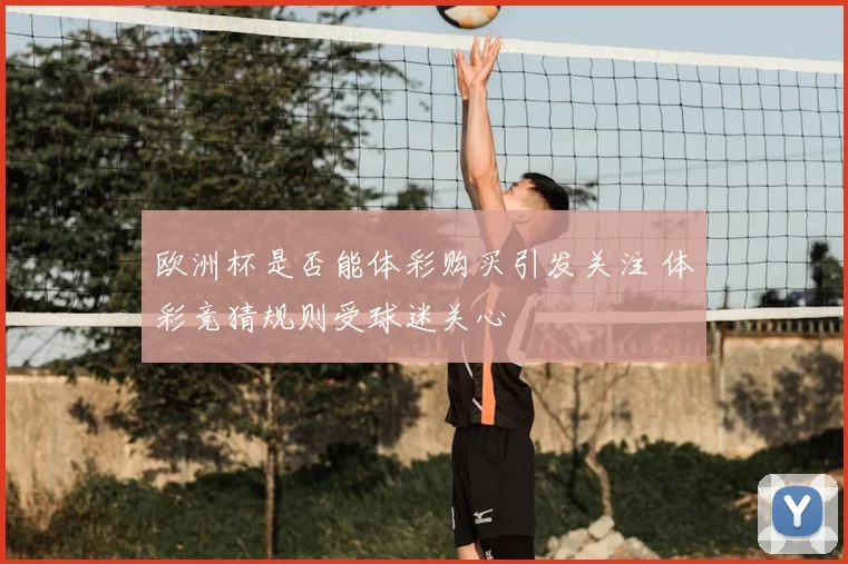 欧洲杯是否能体彩购买引发关注 体彩竞猜规则受球迷关心