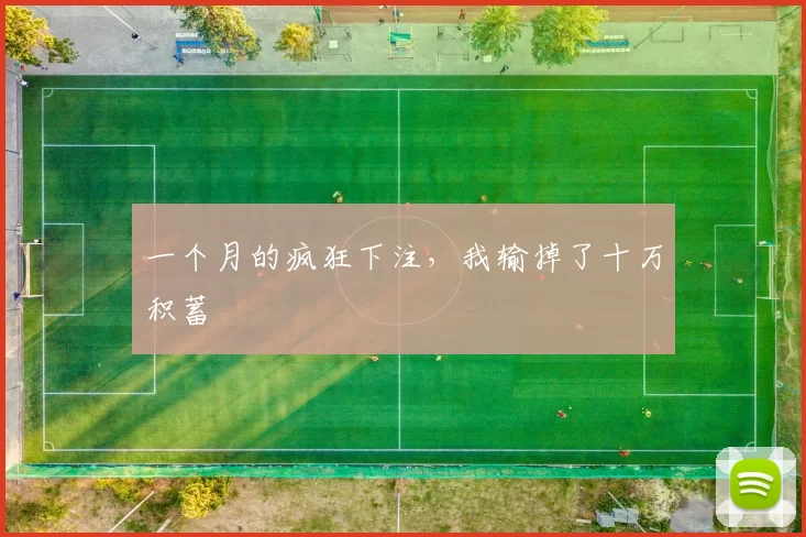 一个月的疯狂下注,我输掉了十万积蓄