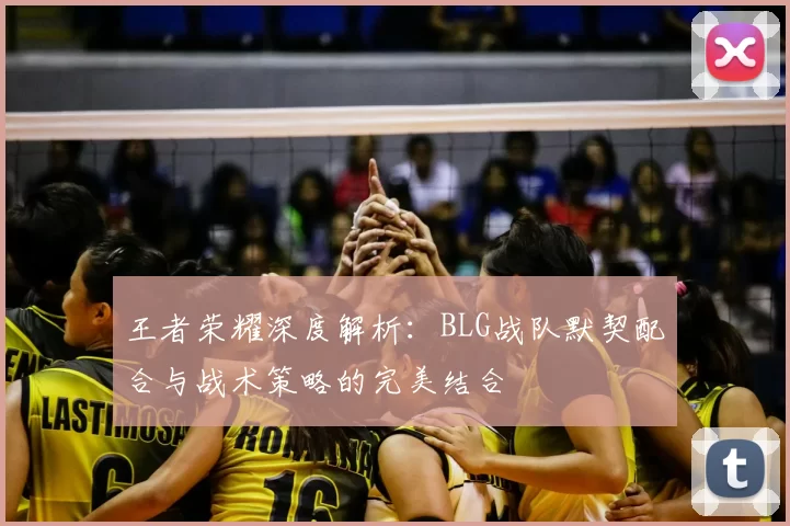 王者荣耀深度解析：BLG战队默契配合与战术策略的完美结合