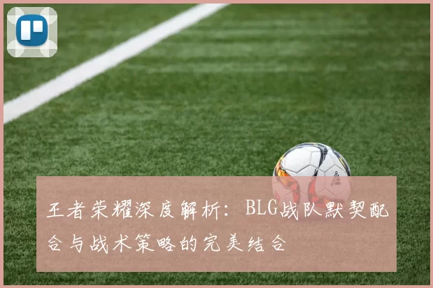 王者荣耀深度解析:BLG战队默契配合与战术策略的完美结合