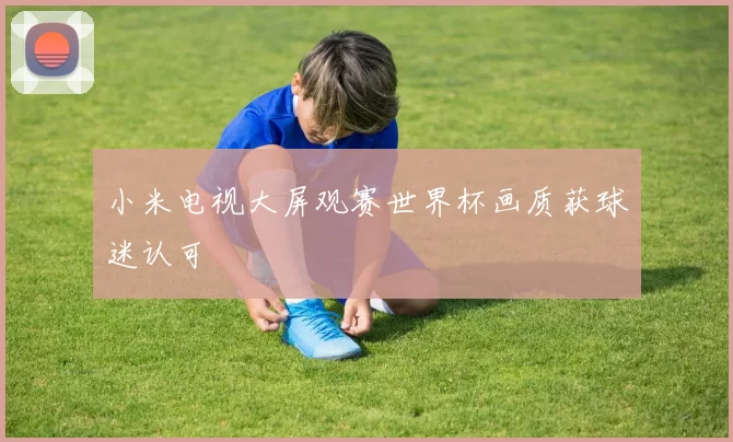 小米电视大屏观赛世界杯画质获球迷认可