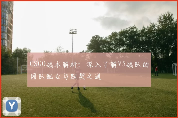 CSGO战术解析：深入了解V5战队的团队配合与默契之道