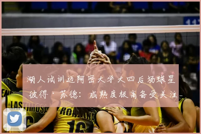 湖人试训迈阿密大学大四后场球星 彼得·苏德：成熟度极高备受关注_能力_球员_时间