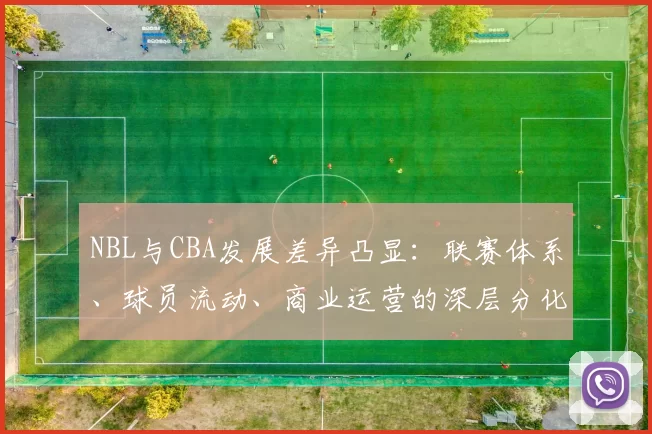 NBL与CBA发展差异凸显：联赛体系、球员流动、商业运营的深层分化