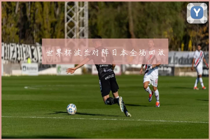 世界杯波兰对阵日本全场回放