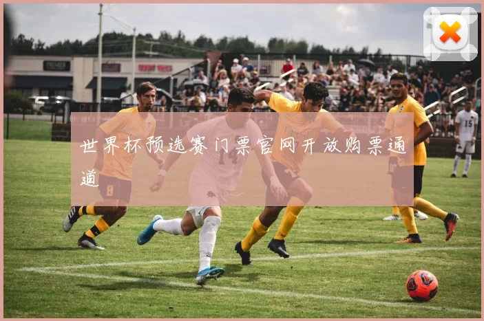 世界杯预选赛门票官网开放购票通道