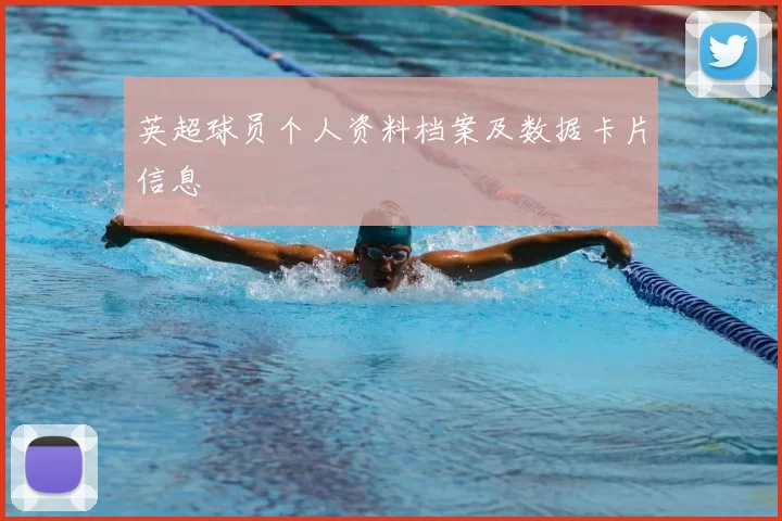 英超球员个人资料档案及数据卡片信息