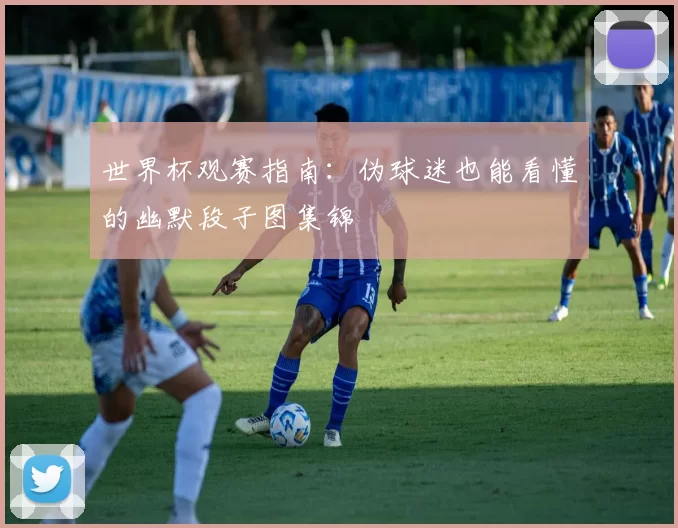世界杯观赛指南:伪球迷也能看懂的幽默段子图集锦