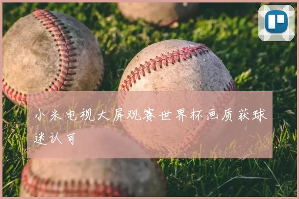 小米电视大屏观赛世界杯画质获球迷认可
