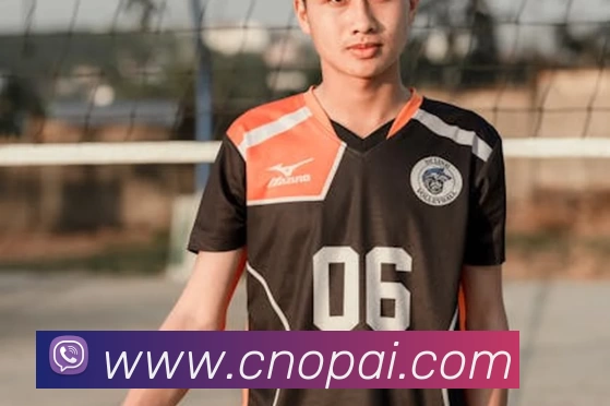 星空体育平台生态图